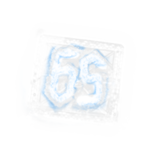 65 Logo