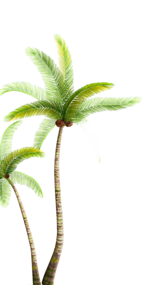 Palm Trees Left