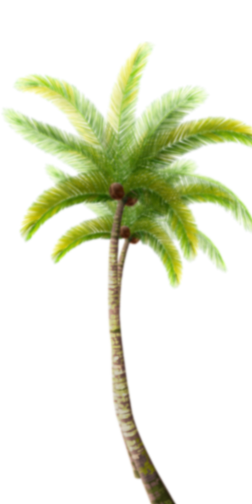 Palm Tree Right